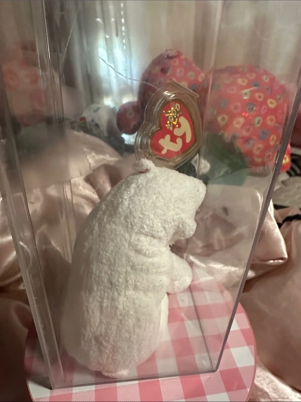 Ty small polar